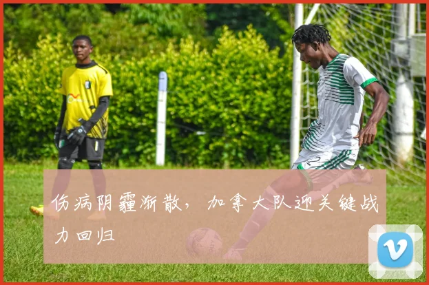 伤病阴霾渐散，加拿大队迎关键战力回归